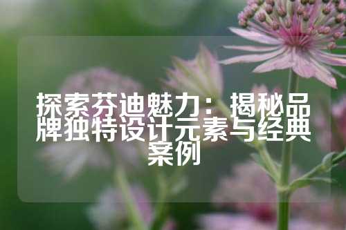 探索芬迪魅力：揭秘品牌独特设计元素与经典案例