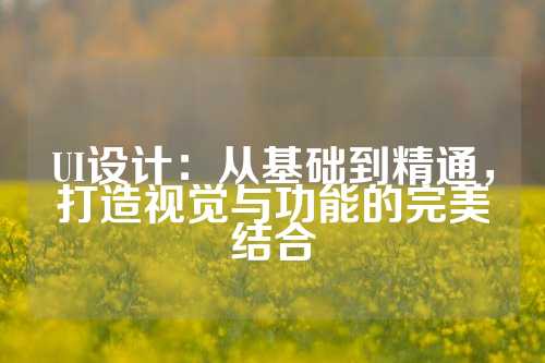 UI设计：从基础到精通，打造视觉与功能的完美结合