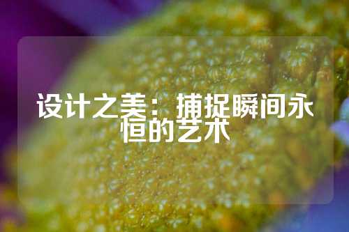 设计之美：捕捉瞬间永恒的艺术