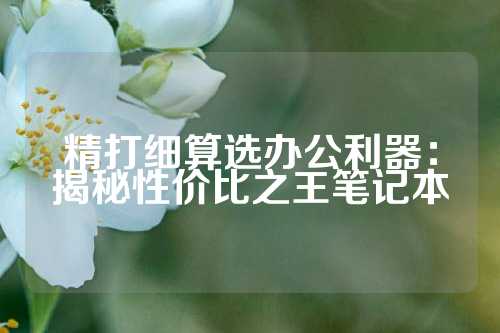 精打细算选办公利器：揭秘性价比之王笔记本