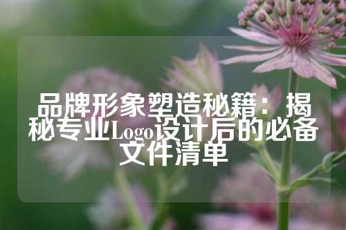 品牌形象塑造秘籍：揭秘专业Logo设计后的必备文件清单