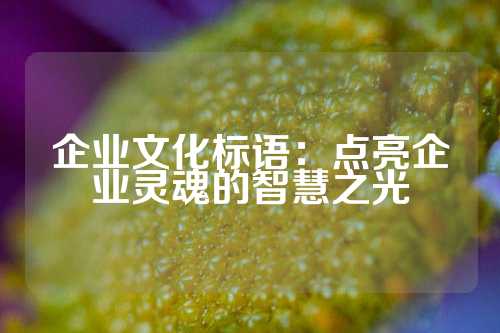 企业文化标语:点亮企业灵魂的智慧之光