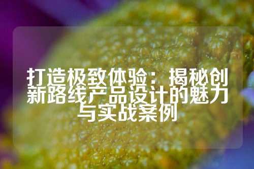 打造极致体验：揭秘创新路线产品设计的魅力与实战案例