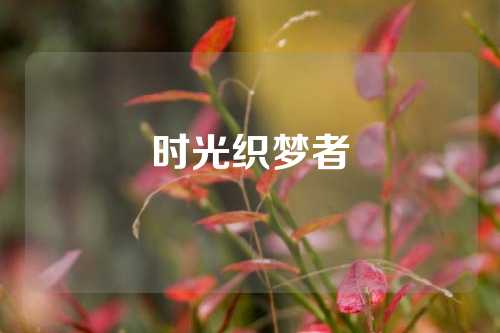 时光织梦者