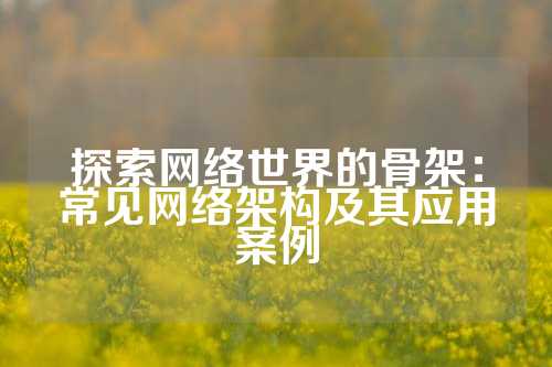 探索网络世界的骨架：常见网络架构及其应用案例