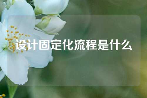 设计固定化流程是什么