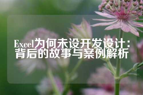 Excel为何未设开发设计：背后的故事与案例解析
