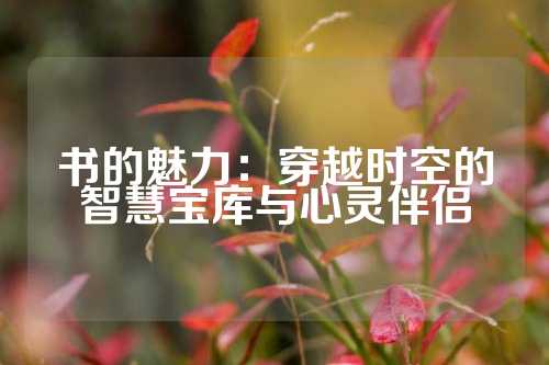 书的魅力:穿越时空的智慧宝库与心灵伴侣