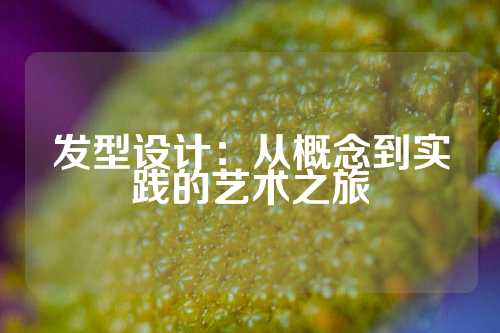 发型设计：从概念到实践的艺术之旅