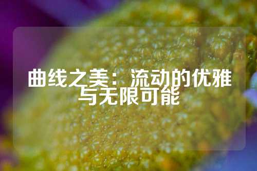曲线之美：流动的优雅与无限可能