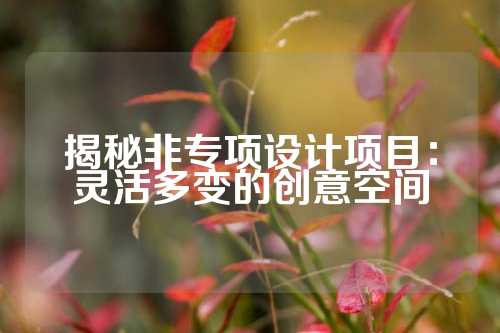 揭秘非专项设计项目：灵活多变的创意空间