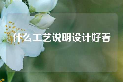 什么工艺说明设计好看