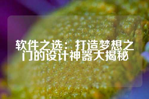 软件之选：打造梦想之门的设计神器大揭秘