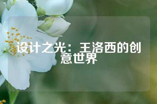 设计之光：王洛西的创意世界