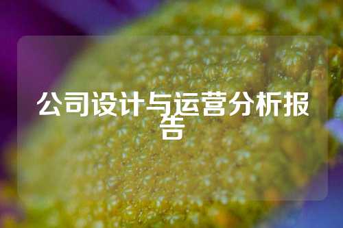 公司设计与运营分析报告