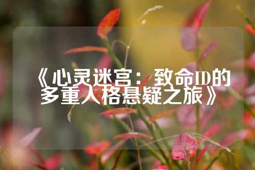 《心灵迷宫：致命ID的多重人格悬疑之旅》