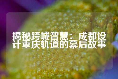 揭秘跨城智慧：成都设计重庆轨道的幕后故事