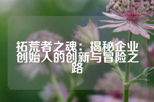 拓荒者之魂：揭秘企业创始人的创新与冒险之路