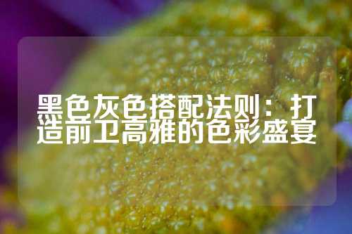 黑色灰色搭配法则：打造前卫高雅的色彩盛宴