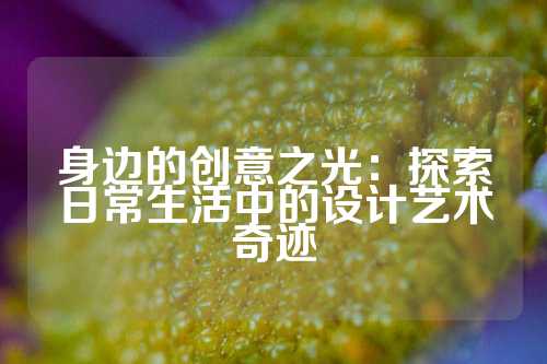 身边的创意之光：探索日常生活中的设计艺术奇迹