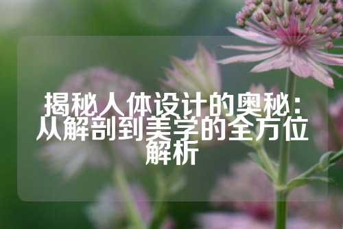 揭秘人体设计的奥秘：从解剖到美学的全方位解析