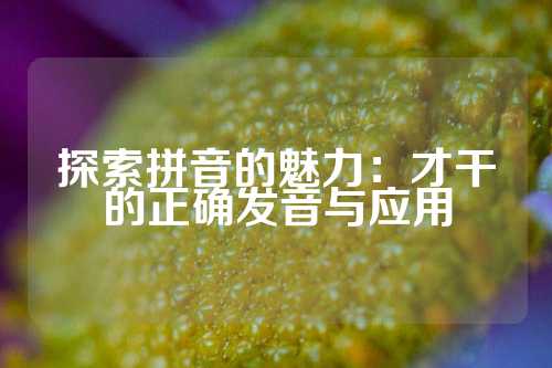 探索拼音的魅力：才干的正确发音与应用