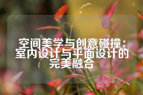 空间美学与创意碰撞：室内设计与平面设计的完美融合