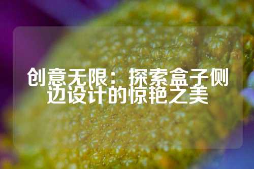 创意无限：探索盒子侧边设计的惊艳之美