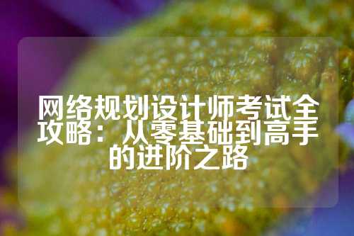 网络规划设计师考试全攻略：从零基础到高手的进阶之路