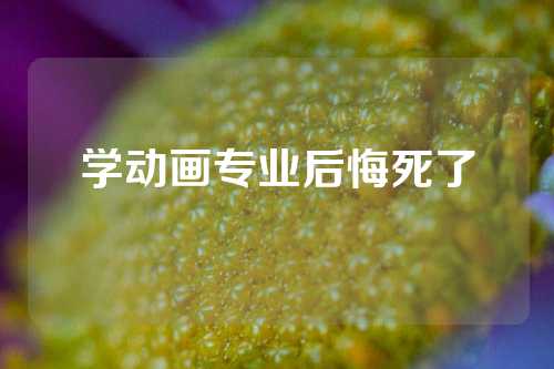学动画专业后悔死了
